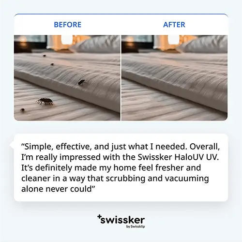 Kill the Bed Bugs & Allergens Hiding In Your Room, Pillow, Mattress, & More...