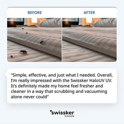 Kill the Bed Bugs & Allergens Hiding In Your Room, Pillow, Mattress, & More...